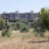 A ricordarci per� di essere in citt� ci pensano i palazzi di via Ranieri che si stagliano sullo sfondo